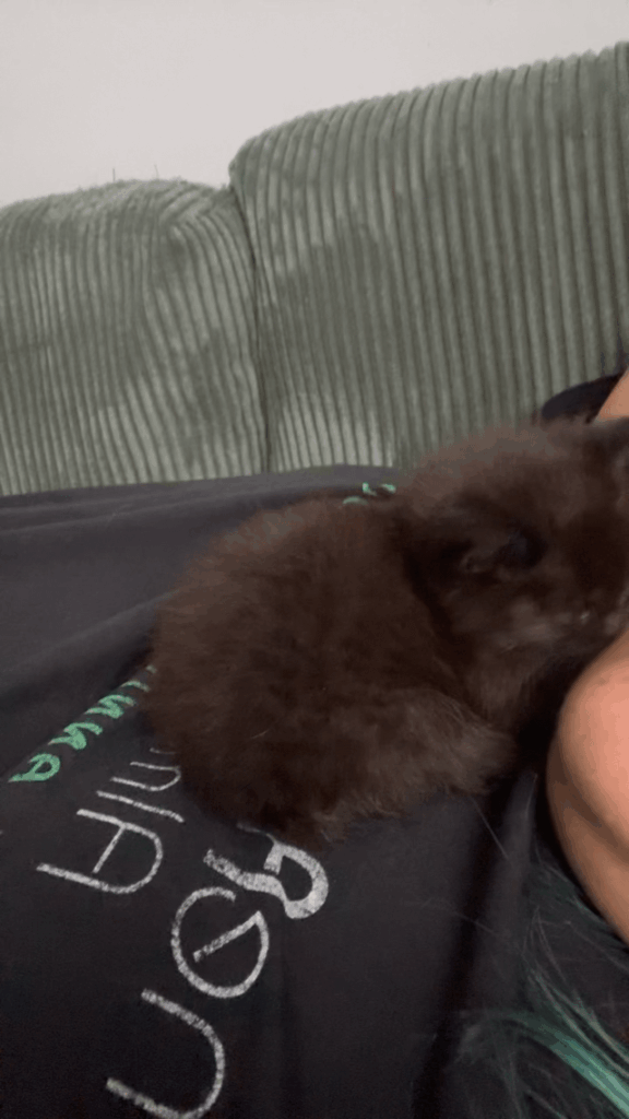 We’re 60/40 on whether Goober will bite or lick these days