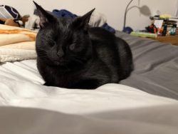 Well-done void loaf