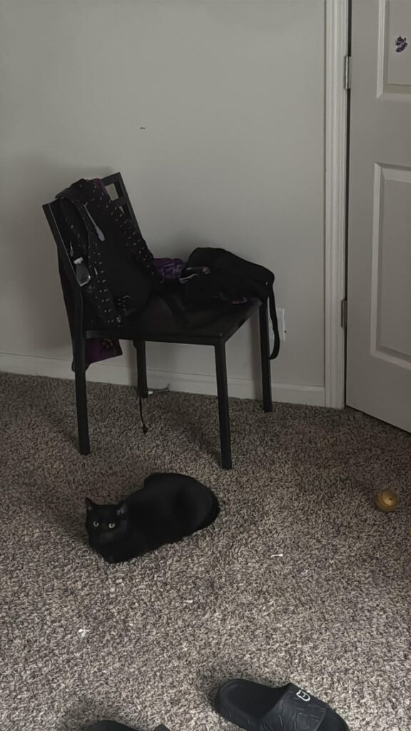 Spot the loaf
