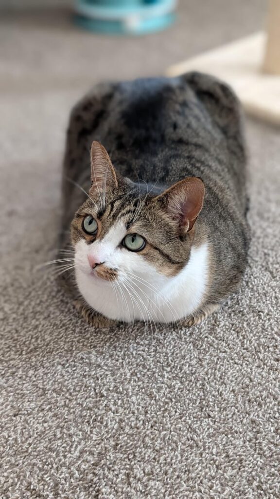 Looks like this loaf has a big undercooked part!