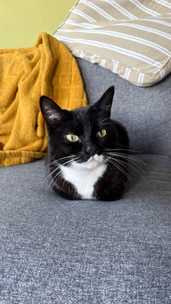 What a perfect loaf!