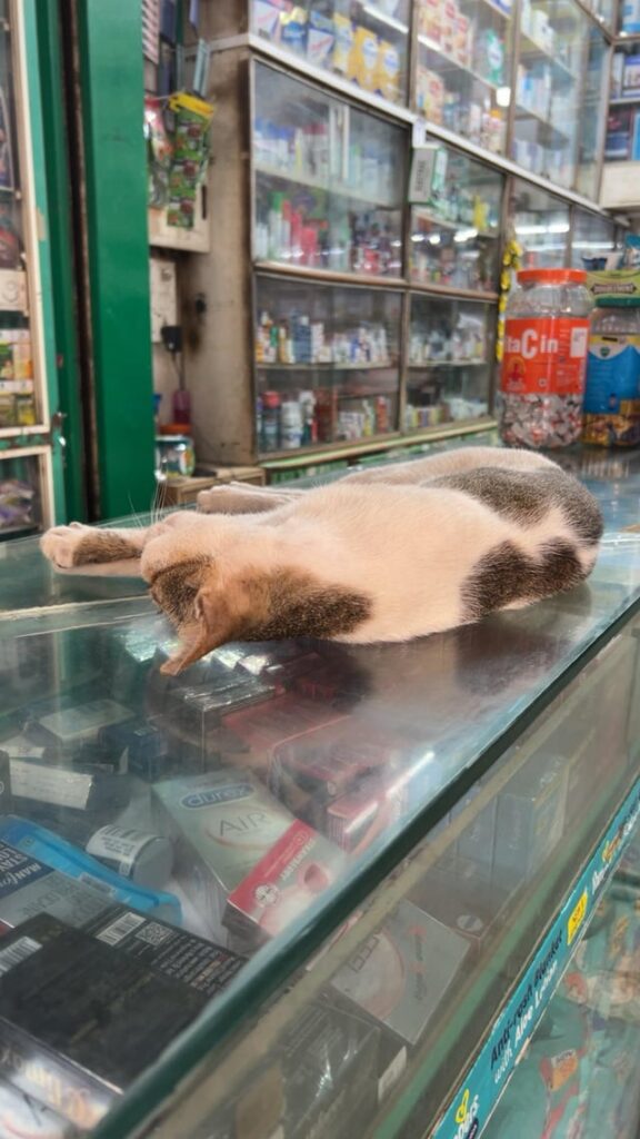 A tired Pharmacist