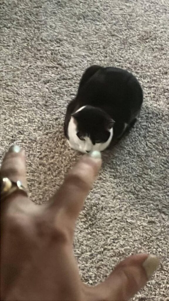 GET him