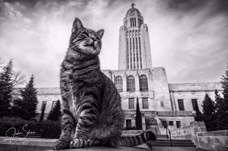 Cameron — a Regular at the Nebraska State Capitol
