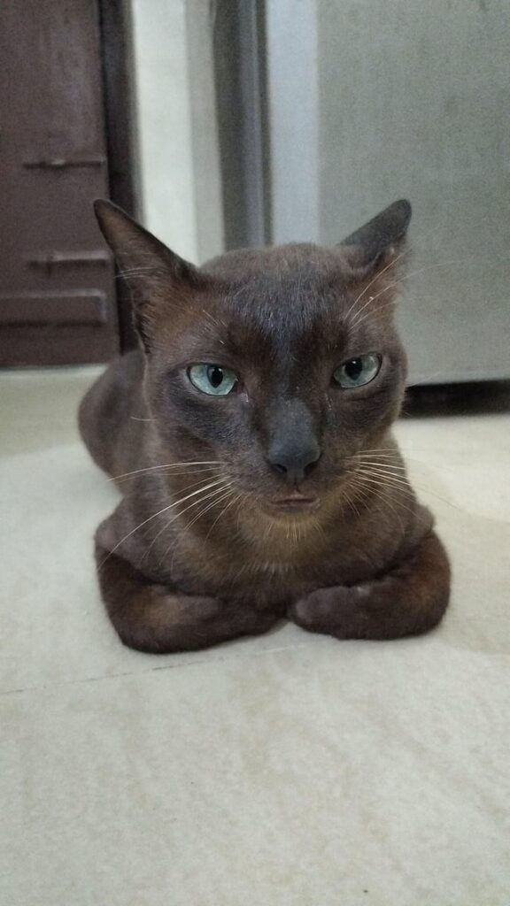 Smoked loaf
