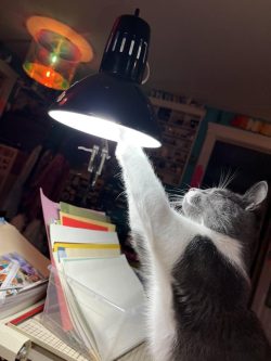General handyman Luke Skywalker, specializing in lightbulb changing.