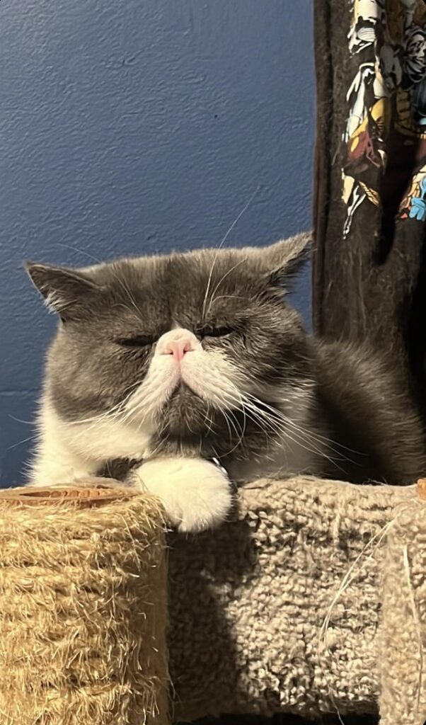 Name a better loaf !