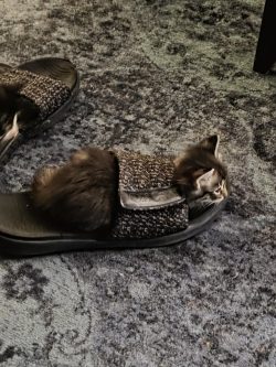 So tiny!