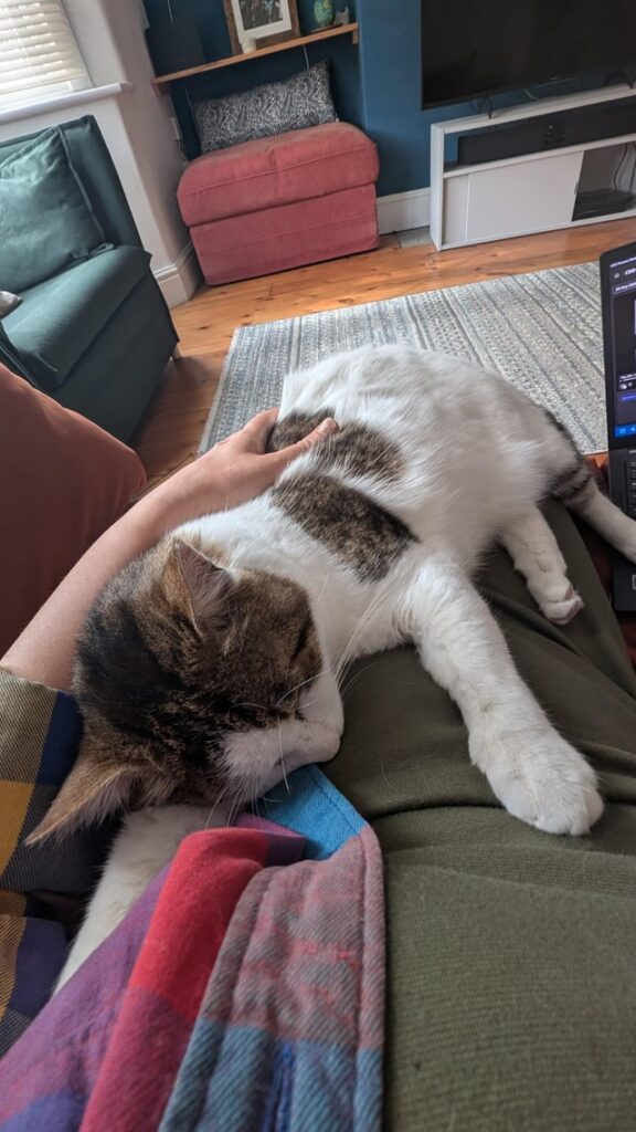 Reunited after 1 night apart