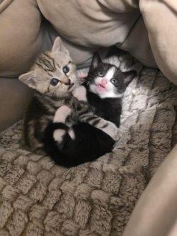 I seem to have interrupted a crime in progress