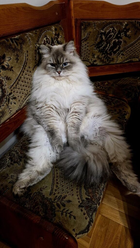 It’s how Aria chilling