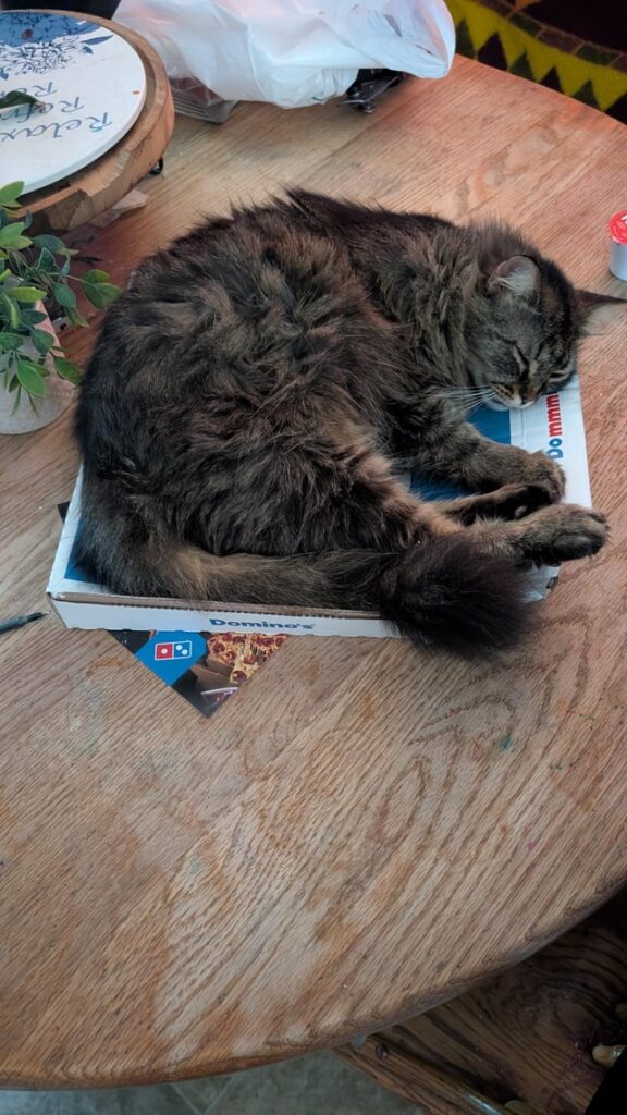 I just wanted pizza