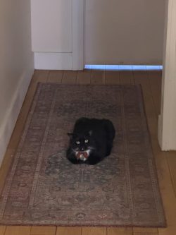 Phenomenal hallway loaf