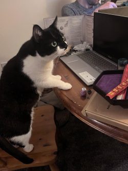 Our new DM is utterly brutal