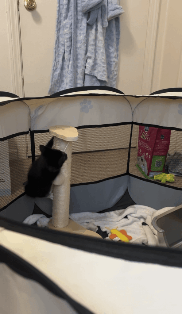 Baby’s first scratch tower
