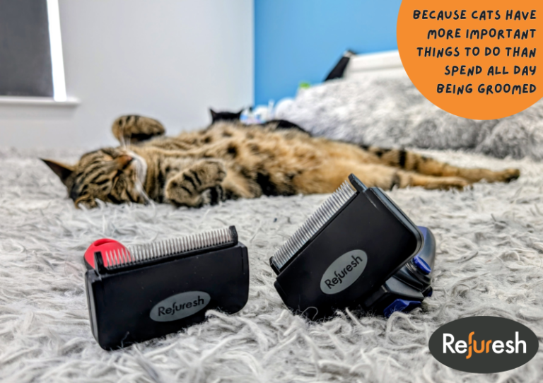The Refuresh Deshedding Tool – It’s No Ordinary Brush