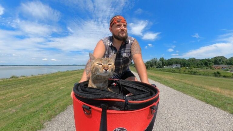 The Rescue Cat Who Cycled Around the World: Dean & Nala’s Story