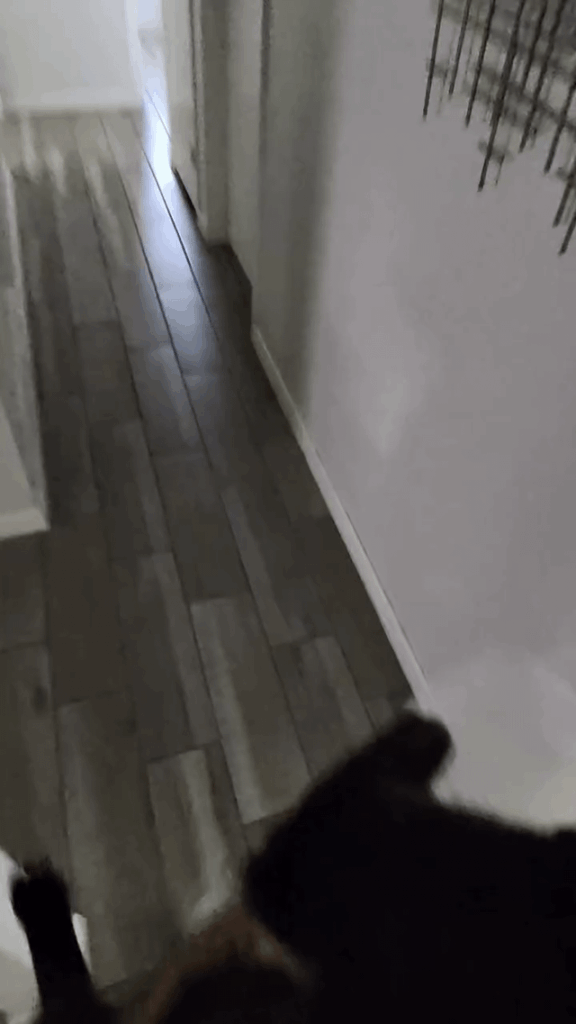 Not the holding onto the door frame