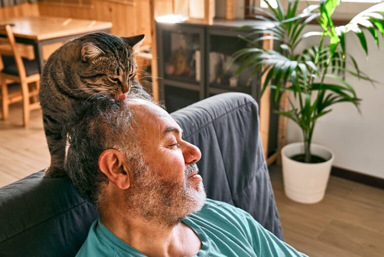 The Surprisingly Sweet Reason Behind Cats Chewing Human Hair (and