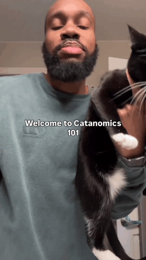 Catanomics 101
