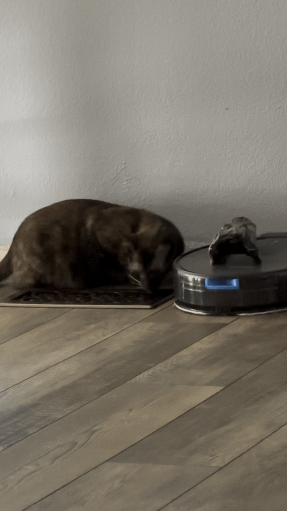 Floor cleaner