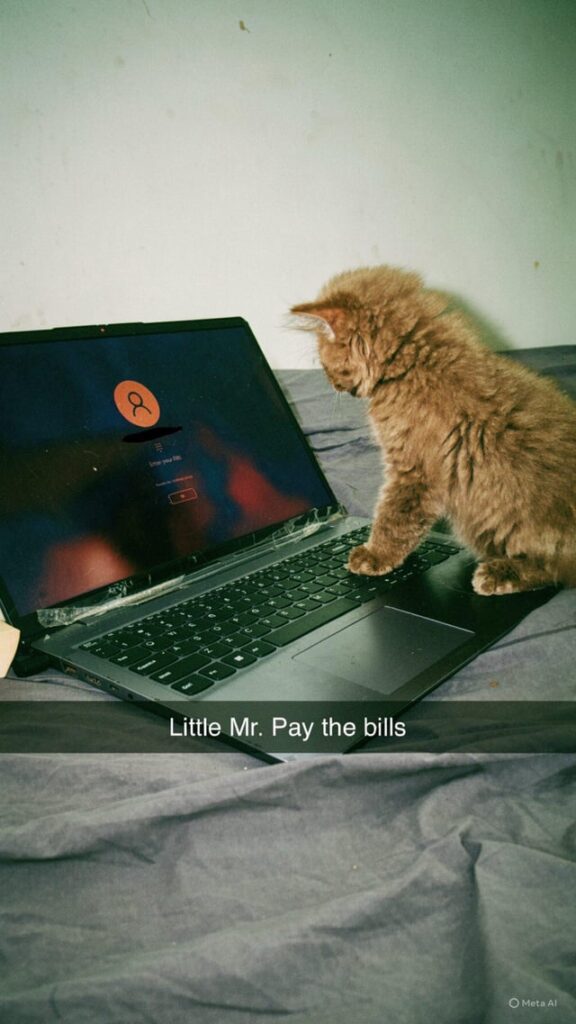 Little Mr. Pay the bills