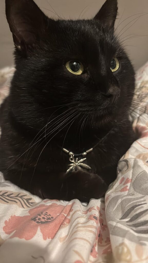 Necklace loaf