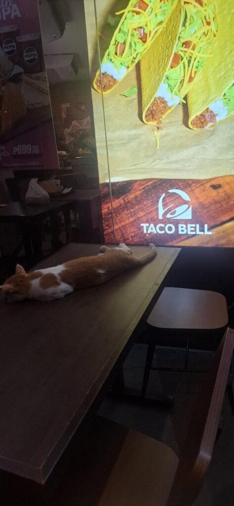 Taco Bell staff on break
