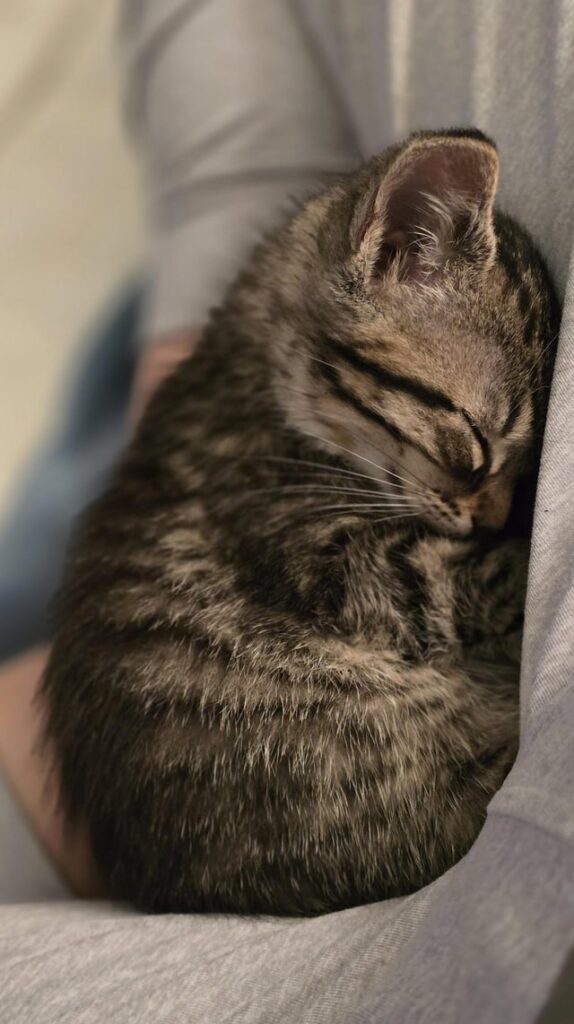 Just brought her home and she’s tiny af