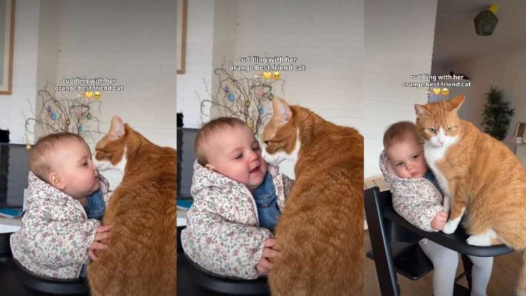 Orange Cat Cuddling With Baby Has Internet Thinking They’re Soulmates