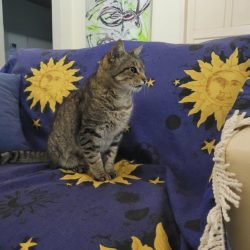Sun god