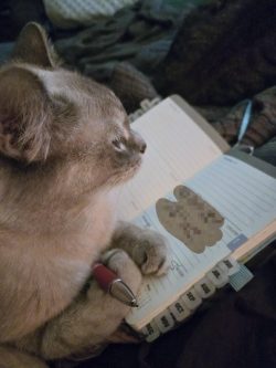 Executive assistant Gwendolyn