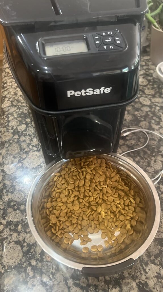 My cat is too smart for his auto-feeder