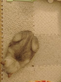 Another angle of a perfect loaf