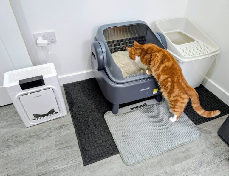 Level Up with the Self-Cleaning Litter Box From Oneisall – Our