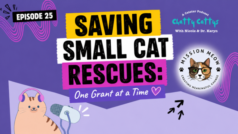 Chatting With Sally About Mission Meow & Helping Cat Rescue