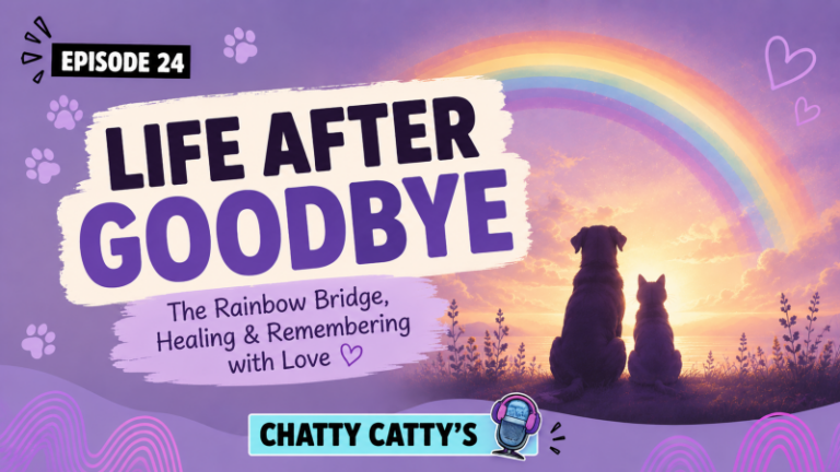 Chatting About the Rainbow Bridge, Euthanasia, and Laughter During