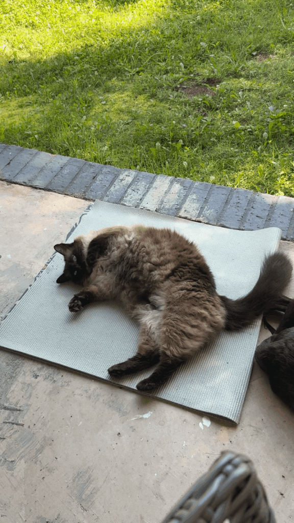 Yoga instructor