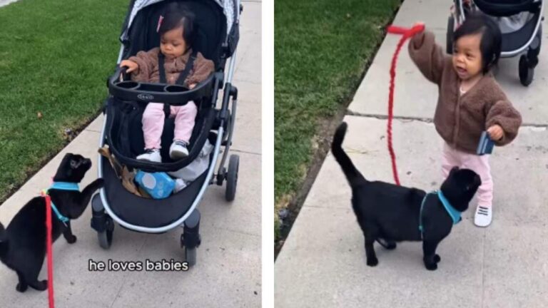 Cat Turns Toddler Into an Official ‘Future Cat Lady’