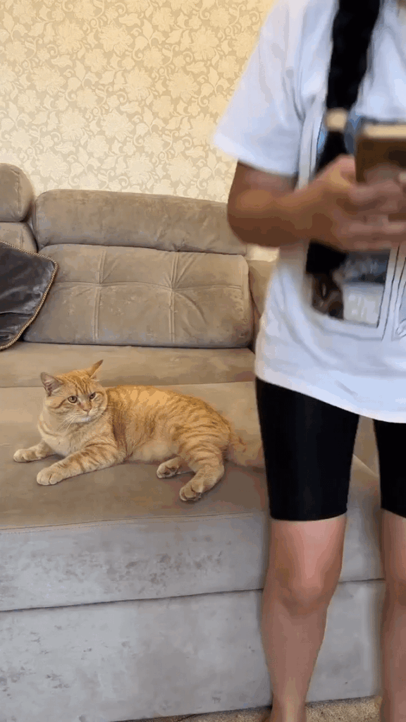 She sat on his tail by accident. He chose revenge.