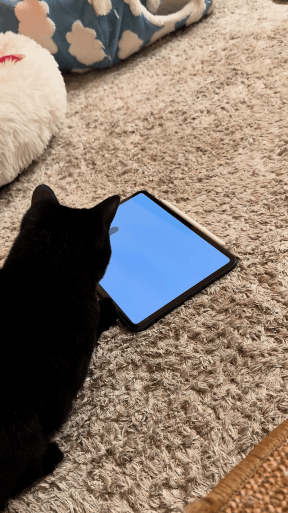 My cat loves this game so much she goes batshit crazy