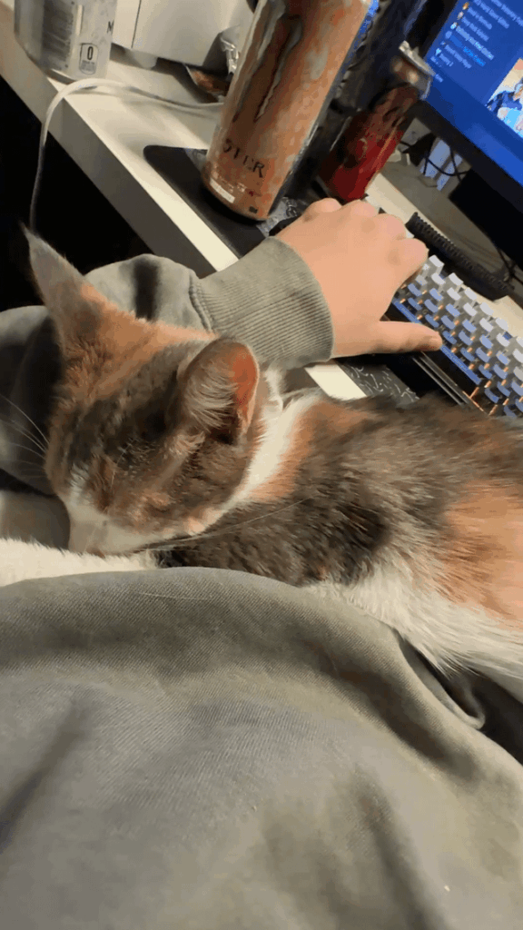 She is a kind of annoying gaming buddy