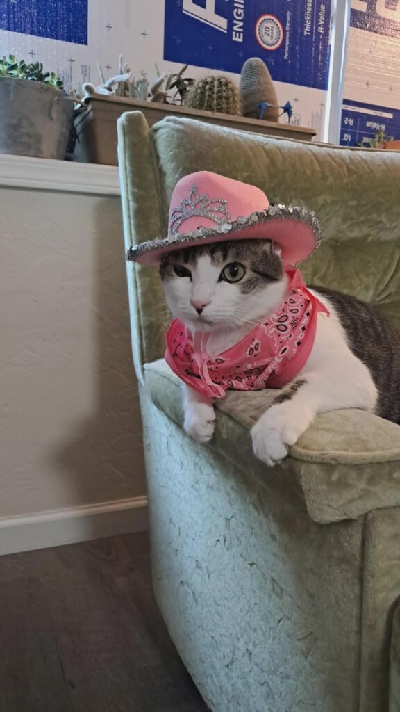 Meowgirl