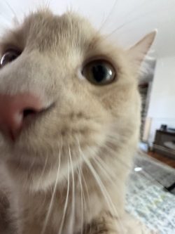 You gots any games on your phone