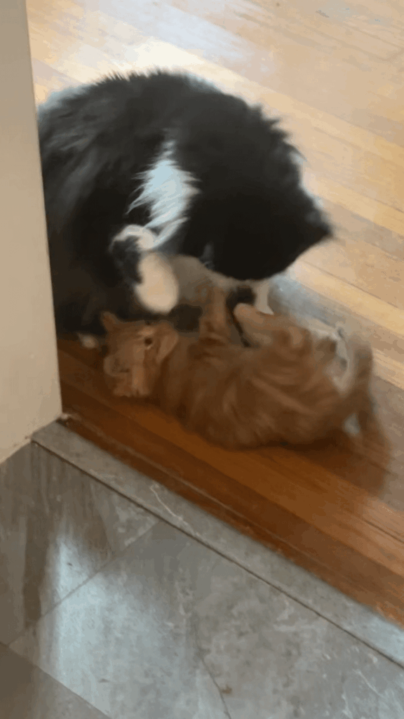 Gotta put them kids in their place sometimes