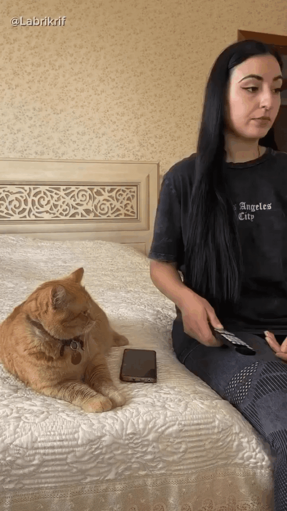 He caught me watching other cats. My fate was sealed.