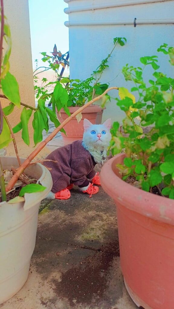 And ready for gardening