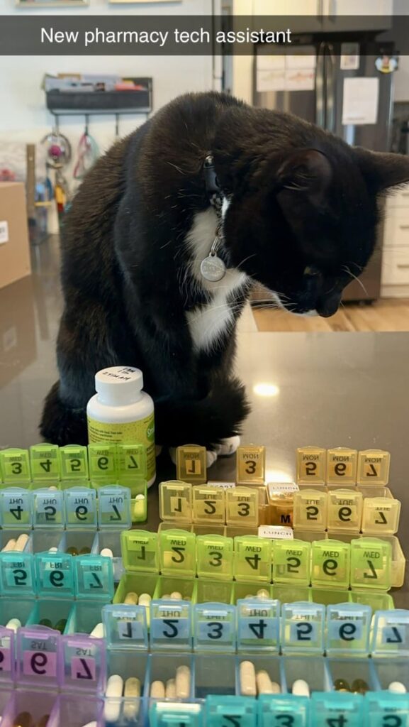 Pharmacy tech assistant