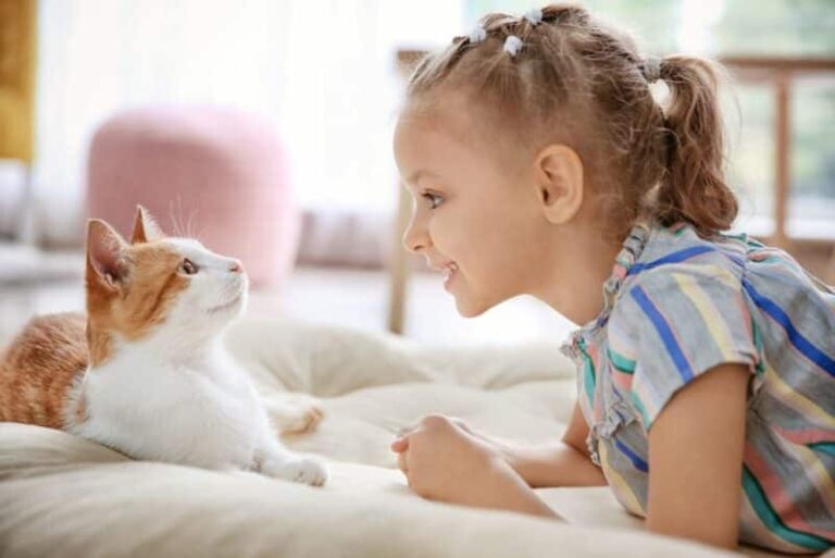 The Dream of Talking to Cats Just Got Closer to Becoming a Reality