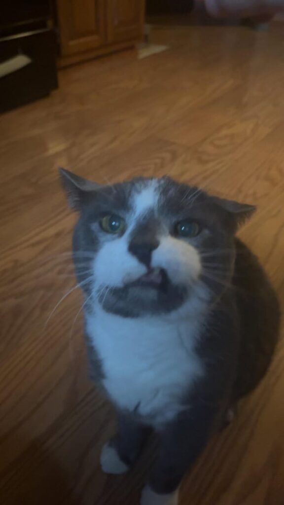 What does this look mean